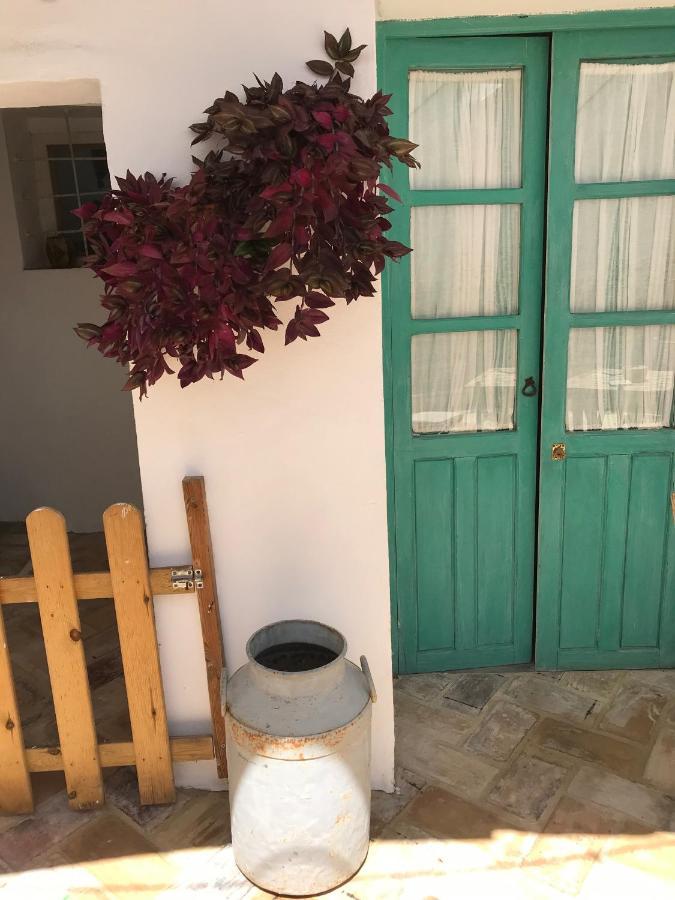 Apartament Casa Aguamarina Vejer de la Frontera Zewnętrze zdjęcie
