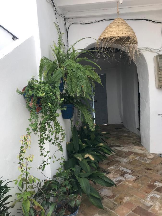 Apartament Casa Aguamarina Vejer de la Frontera Zewnętrze zdjęcie